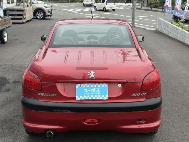 26278124_carP_l_19.jpg
