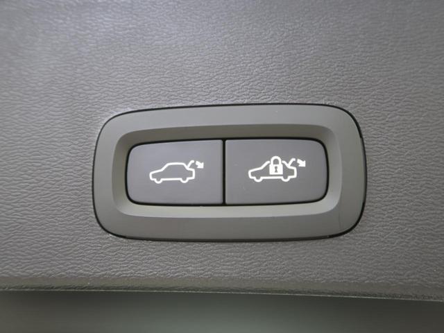 23457773_carP_l_8.jpg