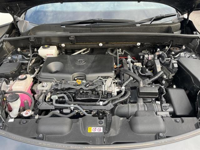 26401776_carP_l_16.jpg