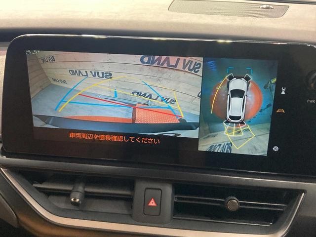 25199408_carP_l_4.jpg