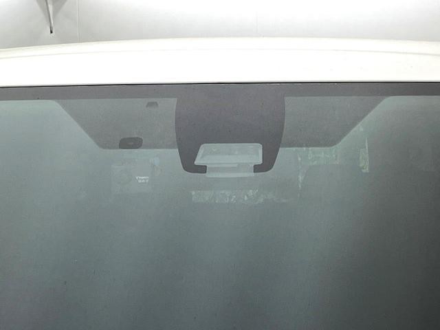 25673456_carP_l_13.jpg