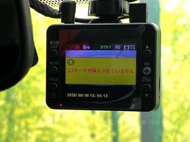 25673456_carP_l_17.jpg