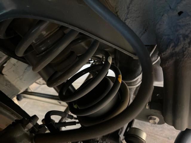 25754554_carP_l_20.jpg