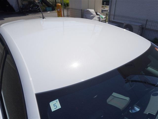 23708545_carP_l_10.jpg