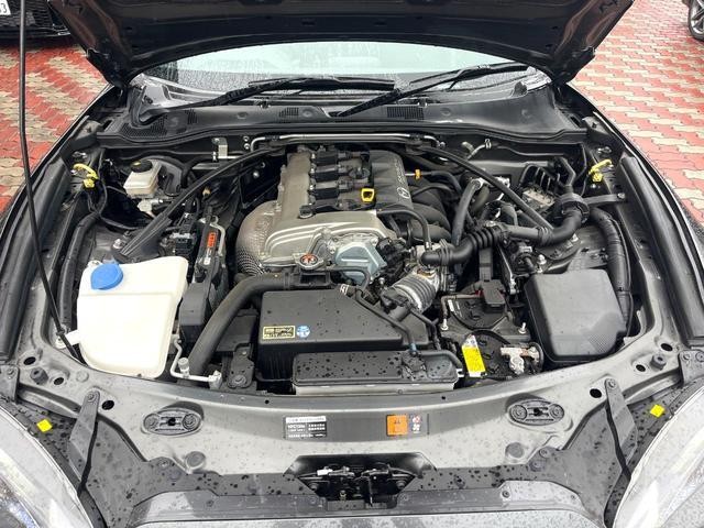26445936_carP_l_16.jpg