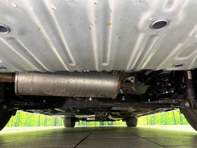 24746898_carP_l_18.jpg