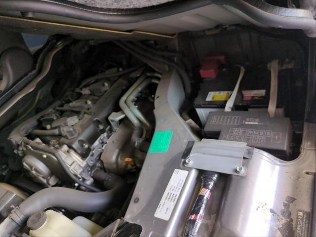 25612590_carP_l_17.jpg