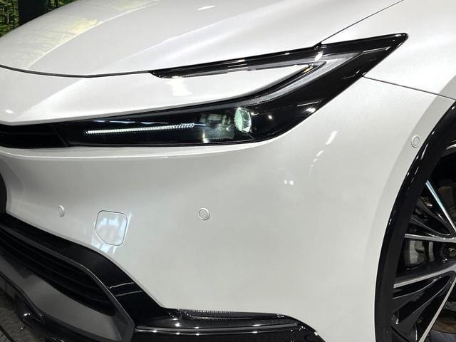 26838305_carP_l_6.jpg