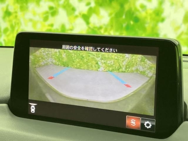 25163371_carP_l_8.jpg