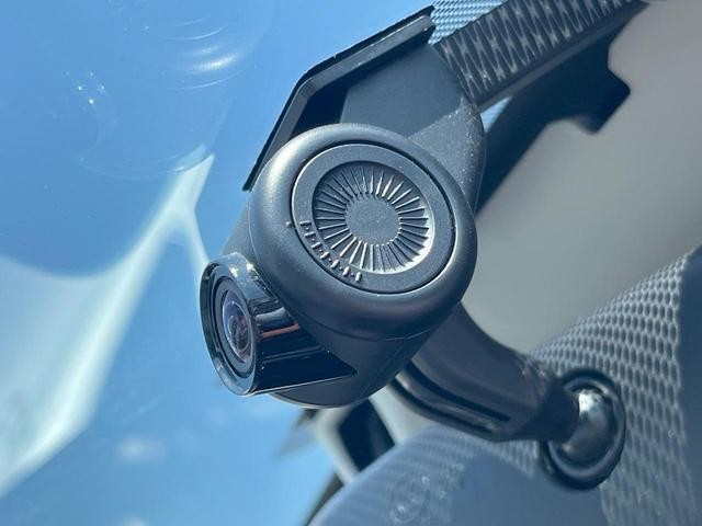 25754641_carP_l_14.jpg