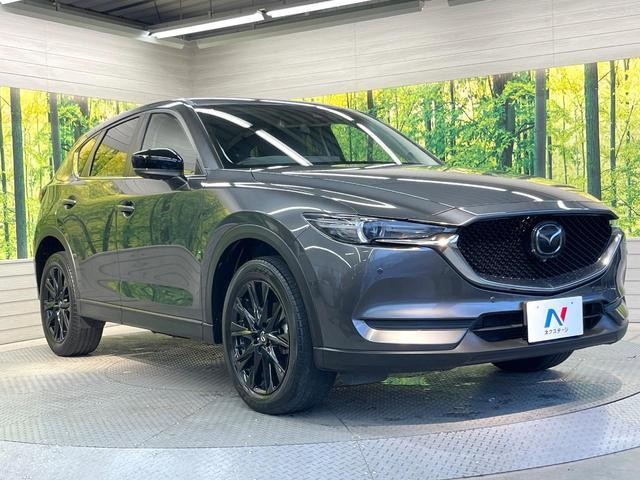 25199420_carP_l_11.jpg