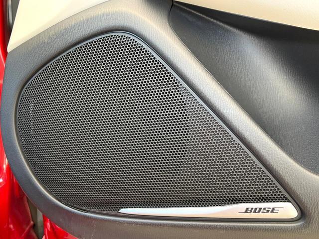 24259524_carP_l_15.jpg