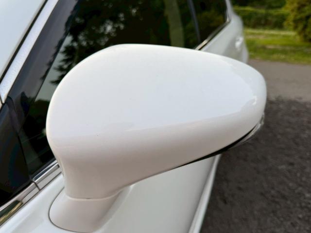 24112753_carP_l_17.jpg