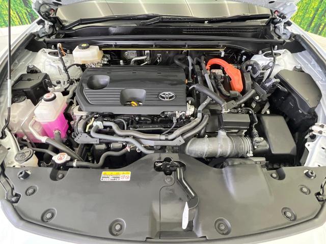 24602150_carP_l_18.jpg