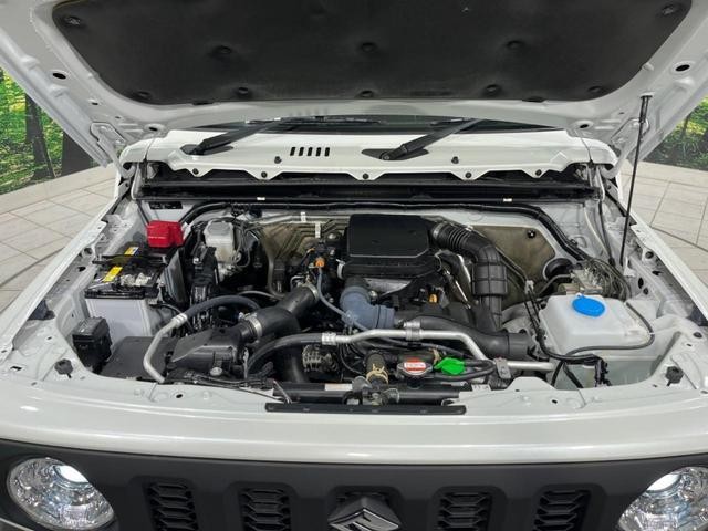 26251876_carP_l_16.jpg