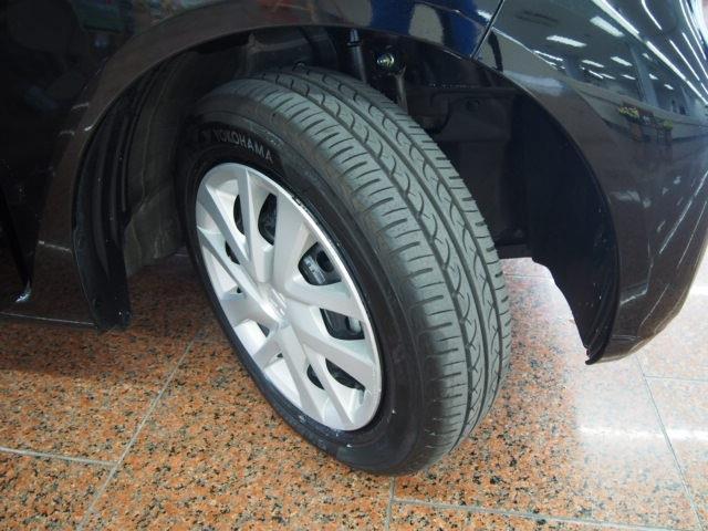 23553777_carP_l_6.jpg