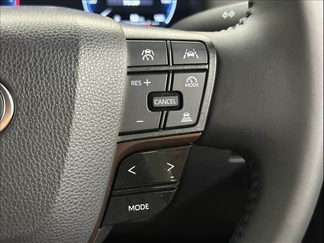 26099986_carP_l_10.jpg