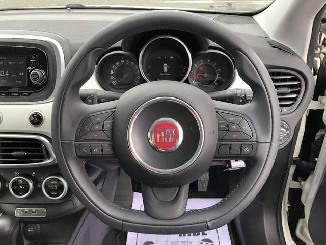 26563477_carP_l_4.jpg
