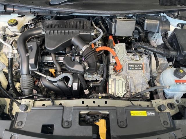 25962874_carP_l_16.jpg