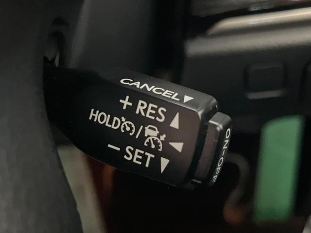 26445969_carP_l_13.jpg