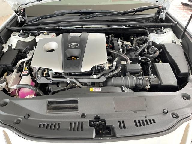 26445971_carP_l_18.jpg
