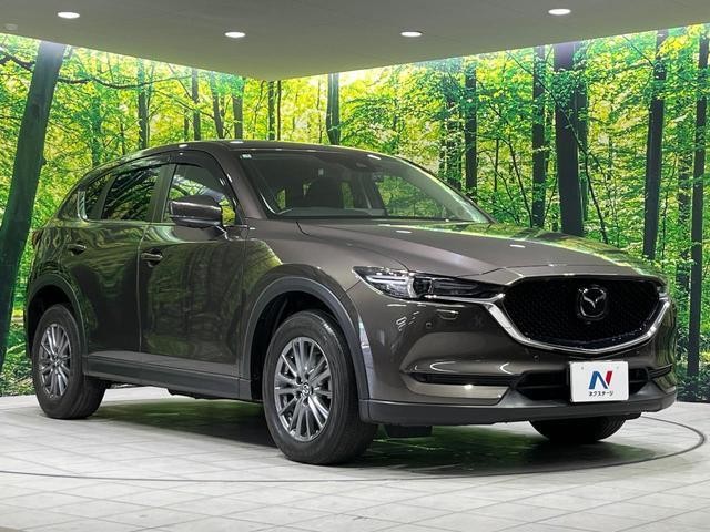 26251897_carP_l_12.jpg