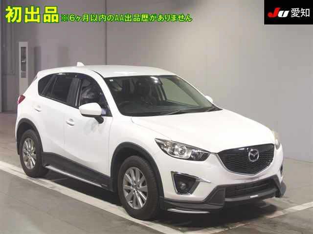 24556313_carP_l_1.jpg