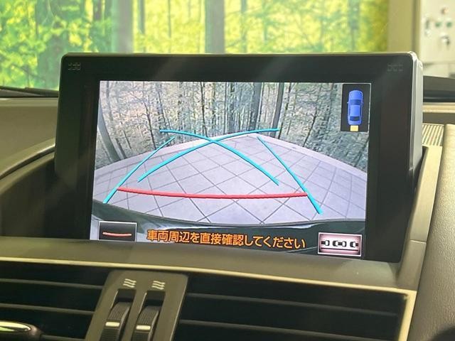 25096198_carP_l_4.jpg