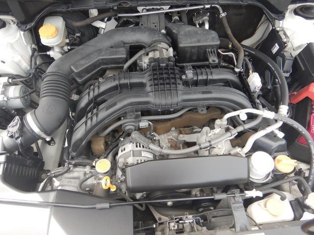 26623947_carP_l_20.jpg
