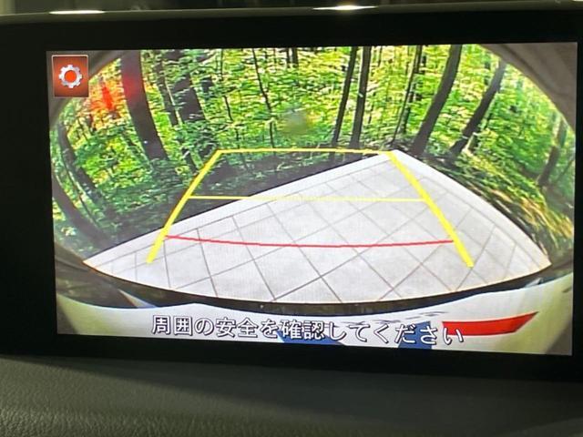 23827218_carP_l_10.jpg