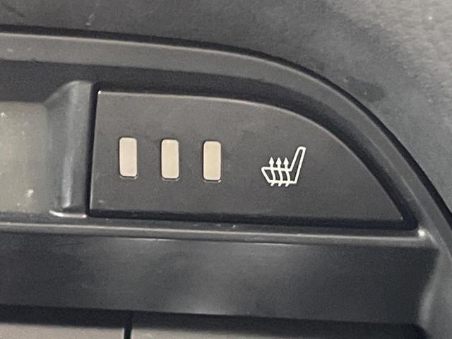 23827218_carP_l_14.jpg