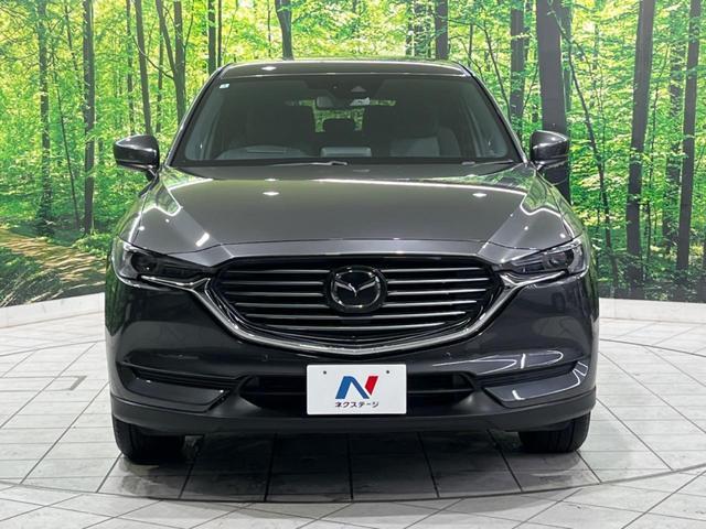 23827218_carP_l_9.jpg