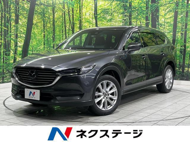 23827218_carP_l_1.jpg