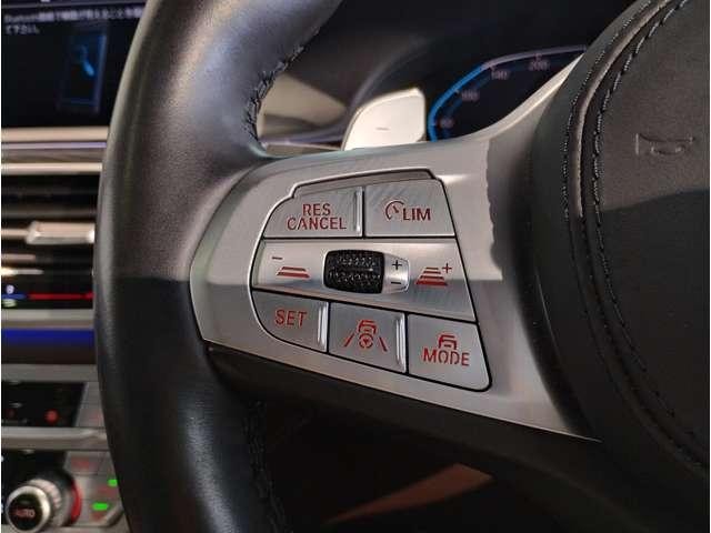 25247692_carP_l_9.jpg