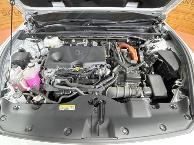 25179448_carP_l_16.jpg