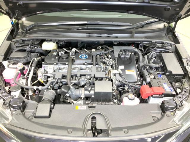 24199674_carP_l_16.jpg