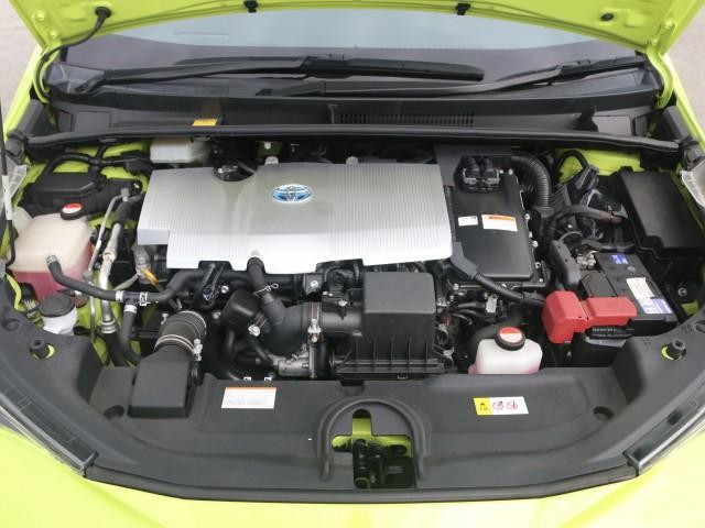 25968444_carP_l_17.jpg