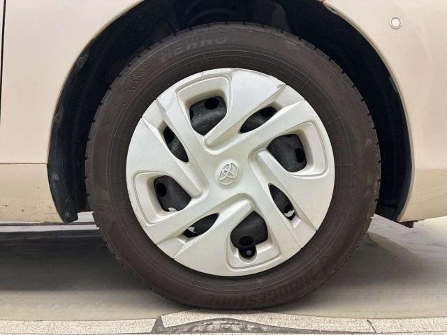 26037879_carP_l_10.jpg