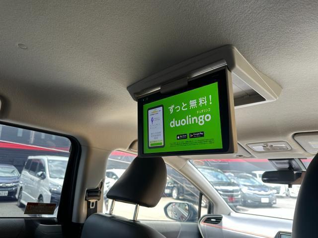 24218729_carP_l_10.jpg