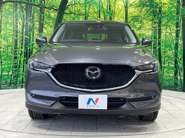 26106232_carP_l_8.jpg