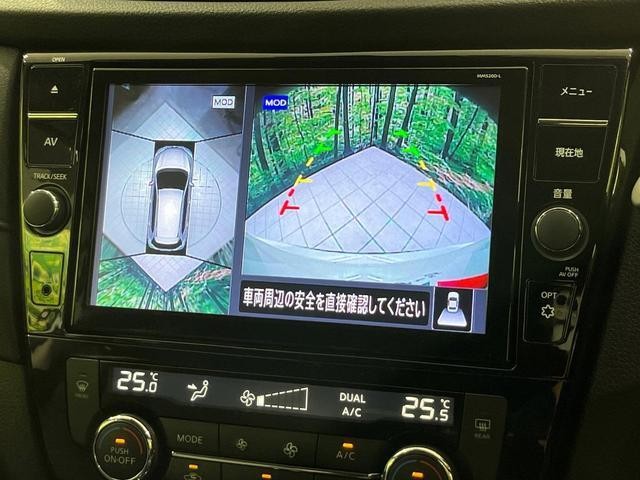 26251899_carP_l_10.jpg