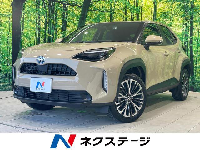 26689095_carP_l_1.jpg