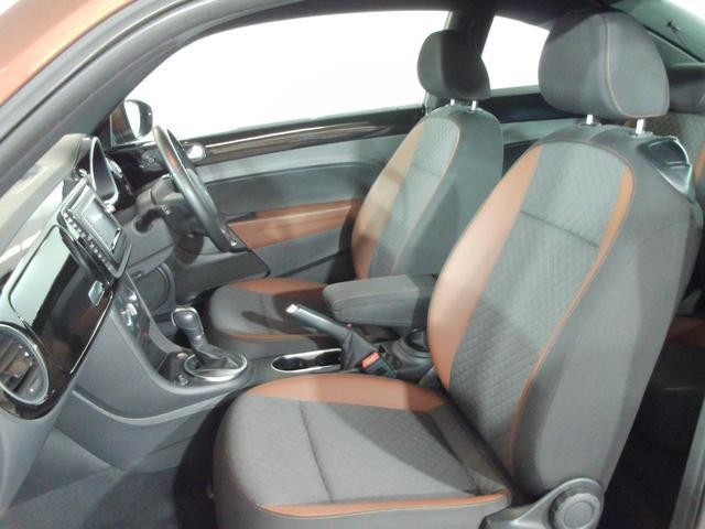 25788168_carP_l_16.jpg