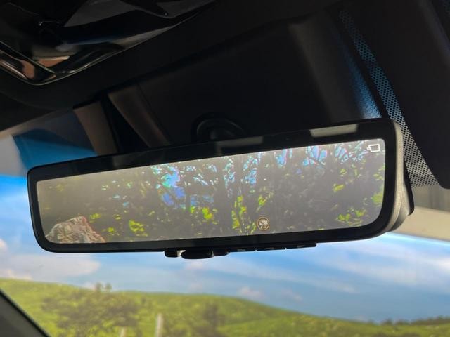 25138564_carP_l_14.jpg