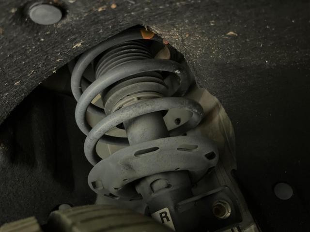 25754804_carP_l_20.jpg