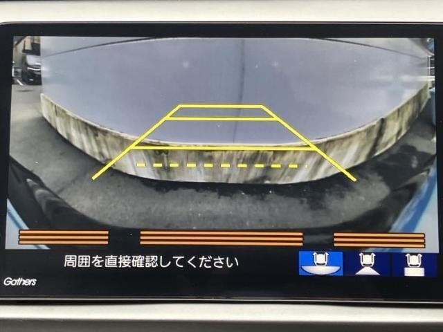 26319871_carP_l_8.jpg