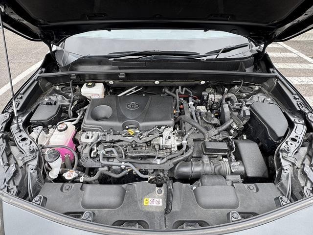 24294428_carP_l_18.jpg