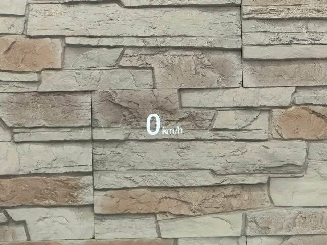 25565774_carP_l_19.jpg