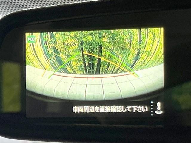 26773680_carP_l_13.jpg