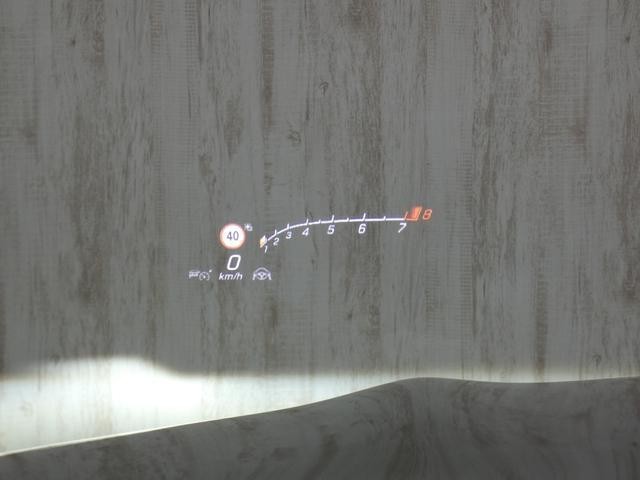 26577691_carP_l_11.jpg